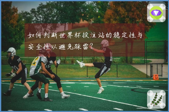 如何判断世界杯投注站的稳定性与安全性以避免踩雷？